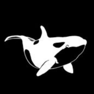 Whales Signals Telegram Channel