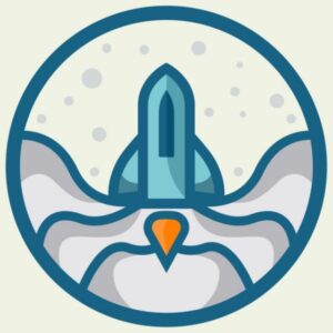 Rocket Pump  Telegram Channel