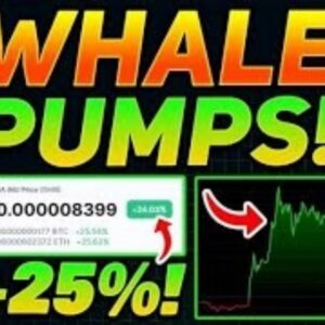 Whales 100x signals of NFT and defi🐳🐳 Telegram Channel