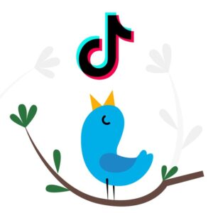 Twitter и TikTok телеграмм канал