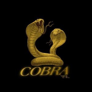 COBRA FX TRADING🚀 Telegram Channel