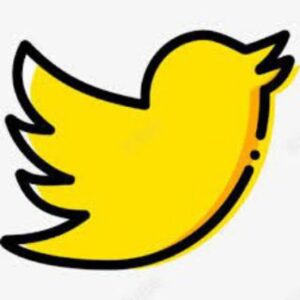 Twitter 分享视频 Telegram Channel