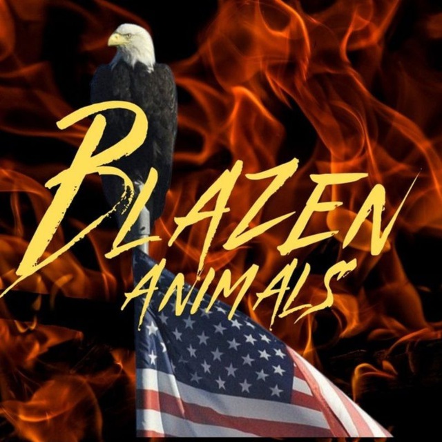 ❤️‍🔥Blazen Animals❤️‍🔥 Telegram Channel