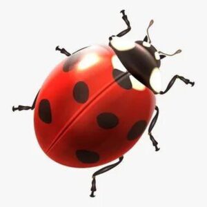 ФСН 🐞 OFFICIAL️ Telegram Channel