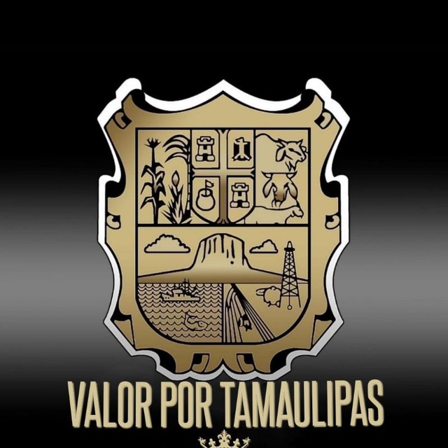 VALOR POR TAMAULIPAS Telegram Channel