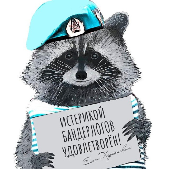 Енот из Херсона 🦝 Telegram Channel