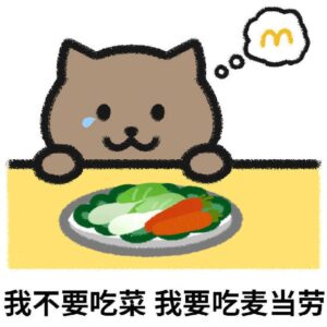 次元链接-公告板 Telegram Channel