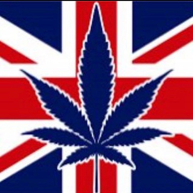 UKVendor420🇬🇧 Canale de Telegram