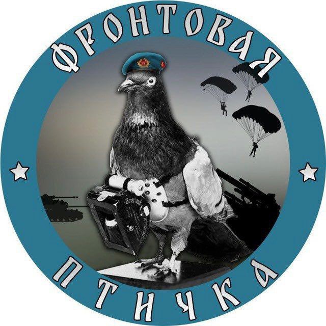 Фронтовая птичка Telegram Channel