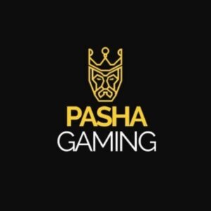 PASHA GAMİNG Telegram Channel