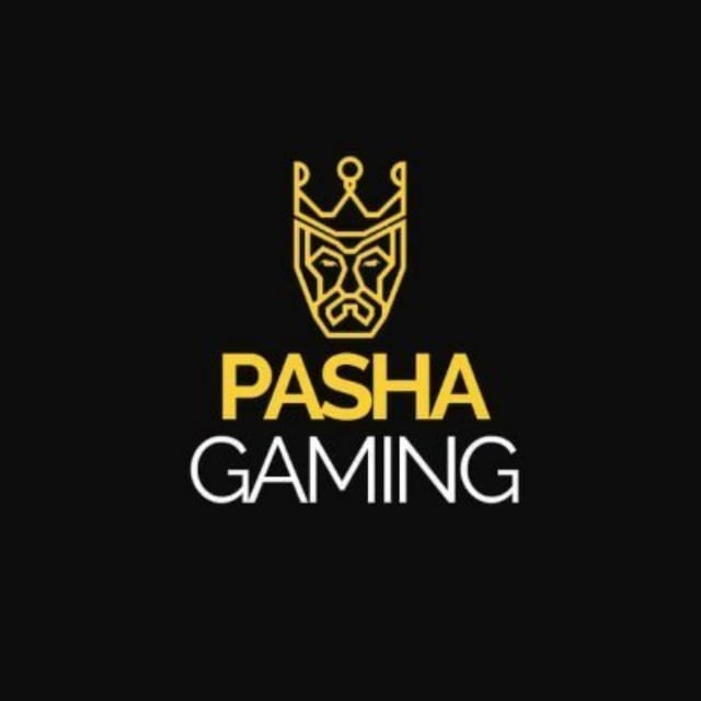 PASHA GAMİNG Telegram Channel