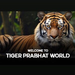 WELCOME TO TIGER PRABHAT WORLD☀️ Telegram Channel