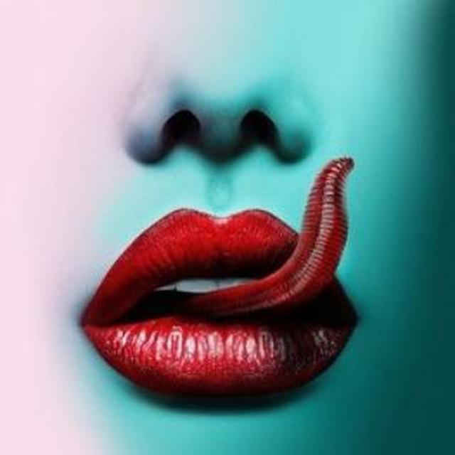 WPCNT OFFICIAL Telegram Channel