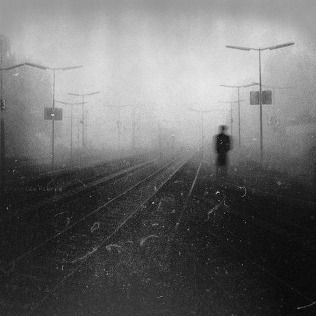 we’ll Telegram Channel