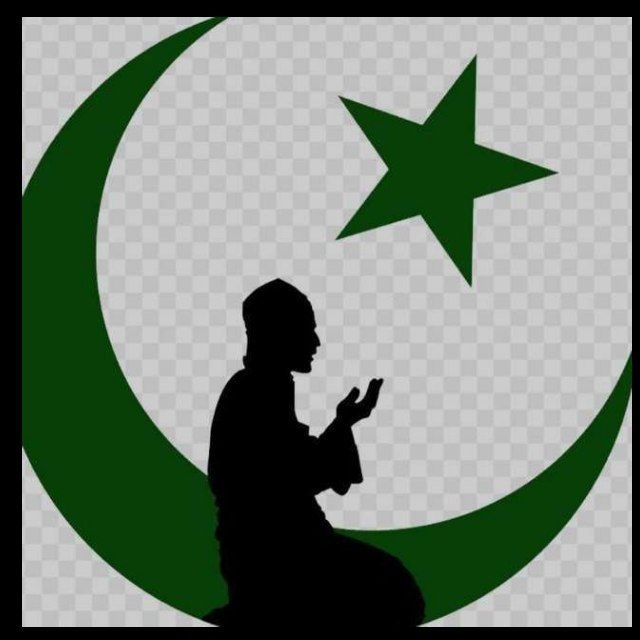 MUSLIM FX TRADER Telegram Channel