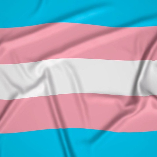 Trans community Telegram Channel