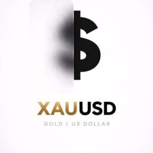 Prime Trading Telegram Channel